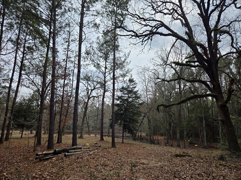 10.14 acres in Texas County gallery image 3