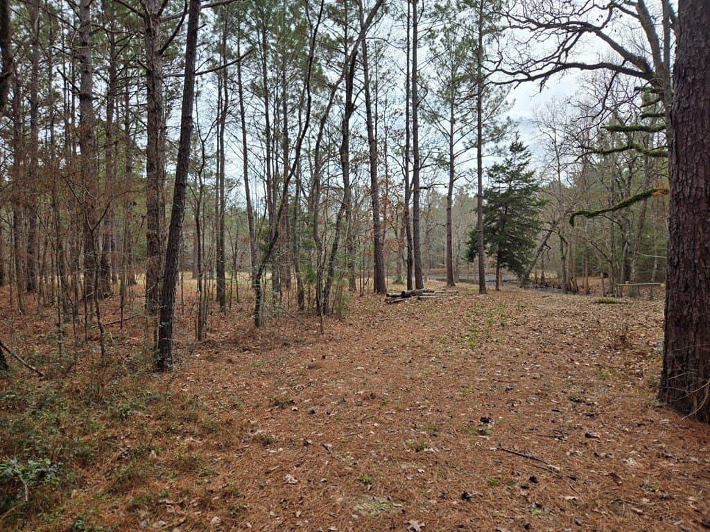 10.14 acres in Texas County gallery image 2