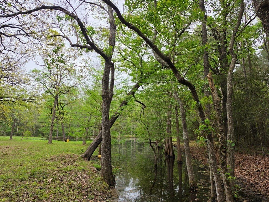 10.14 acres in Texas County gallery image 3