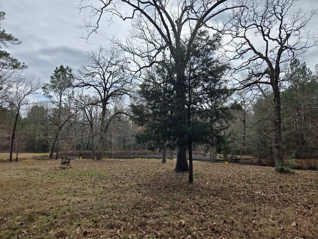 10.14 acres in Texas County featured view