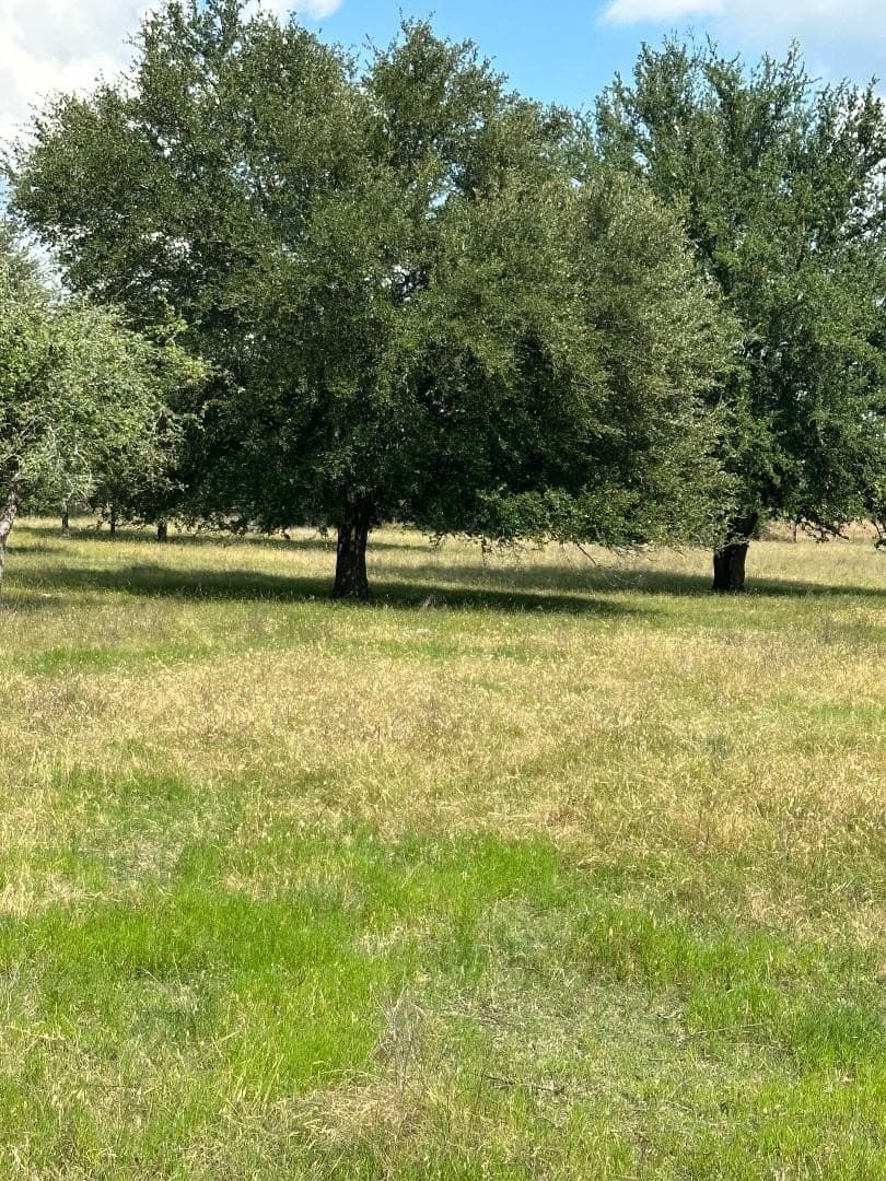 15.28 acres in Hill County gallery image 2