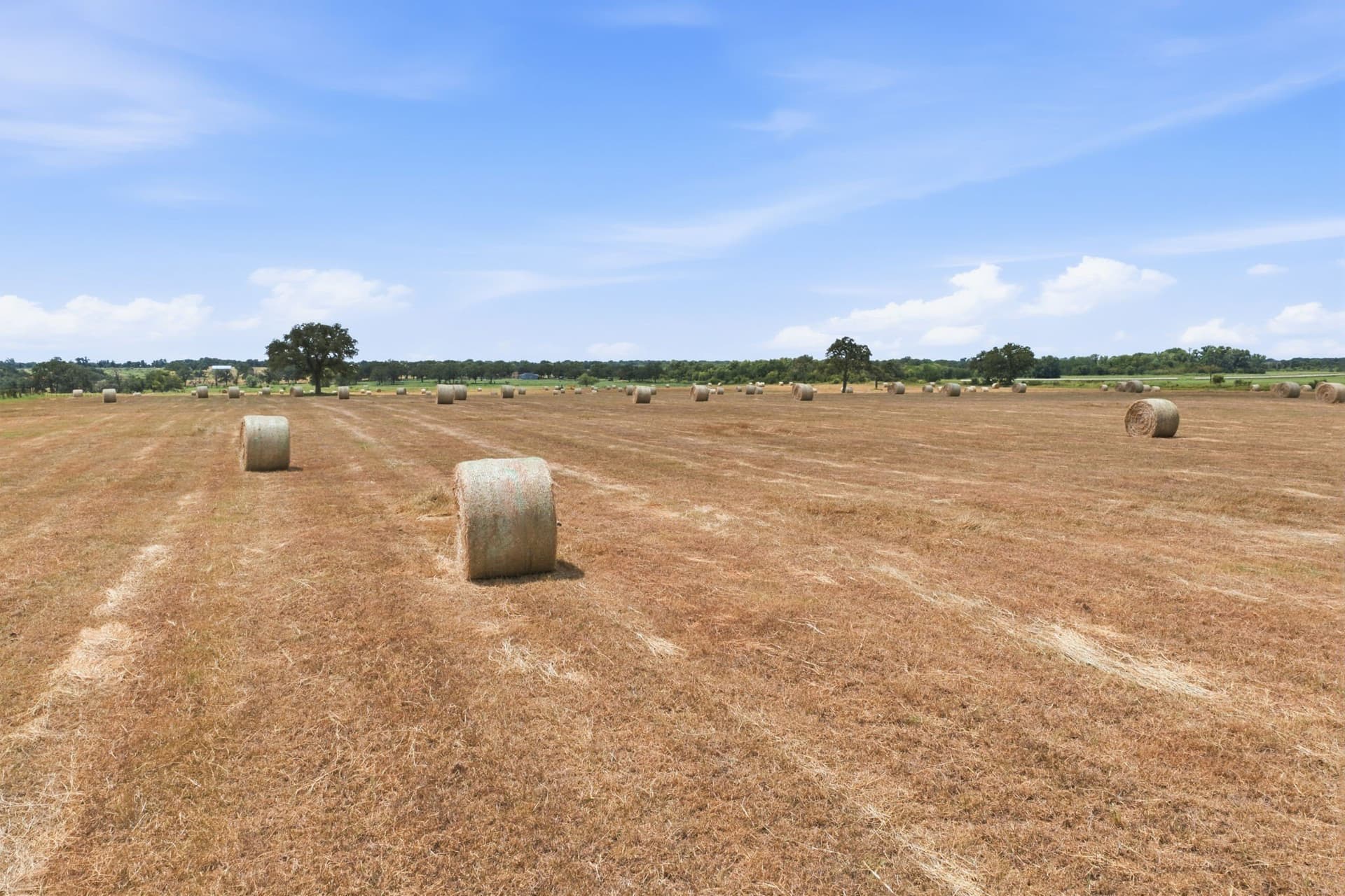 50.58 acres in Eastland County - photo 32