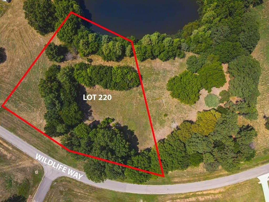 2.02 acres in Henderson County - photo 9
