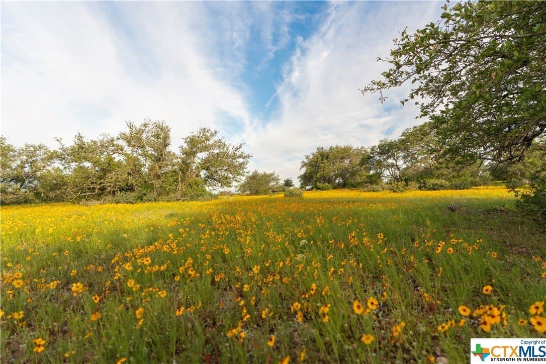 189.92 acres in Blanco County - photo 41