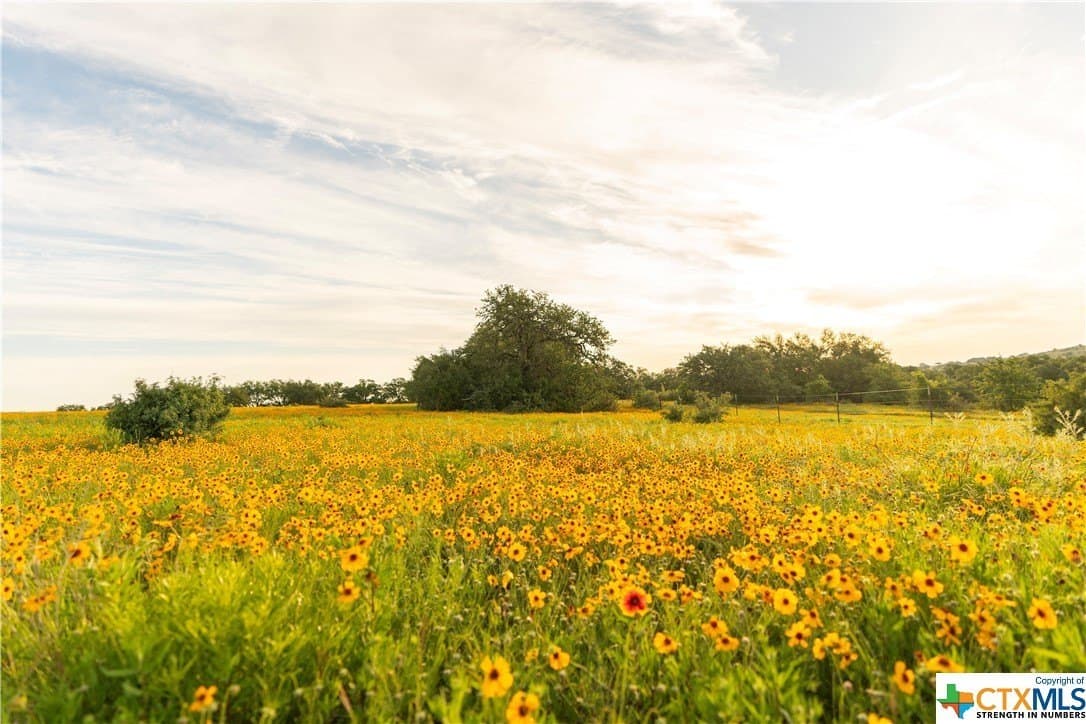 189.92 acres in Blanco County - photo 40