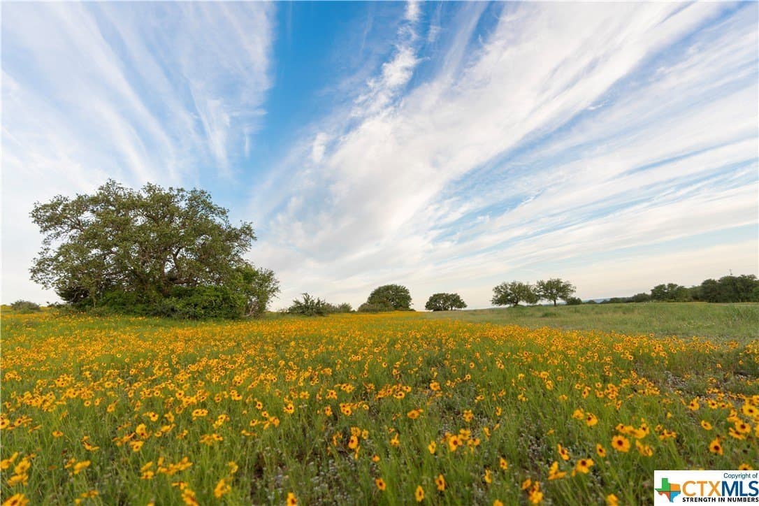 189.92 acres in Blanco County - photo 38