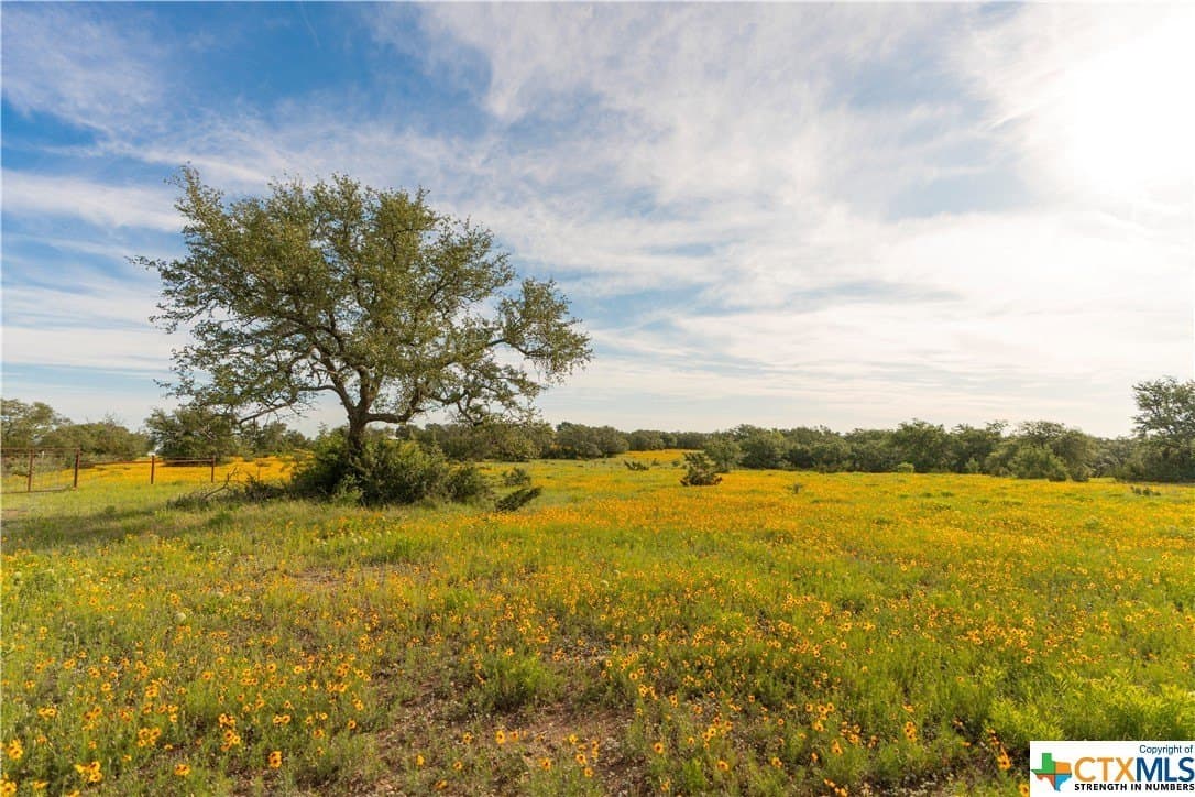 189.92 acres in Blanco County - photo 44
