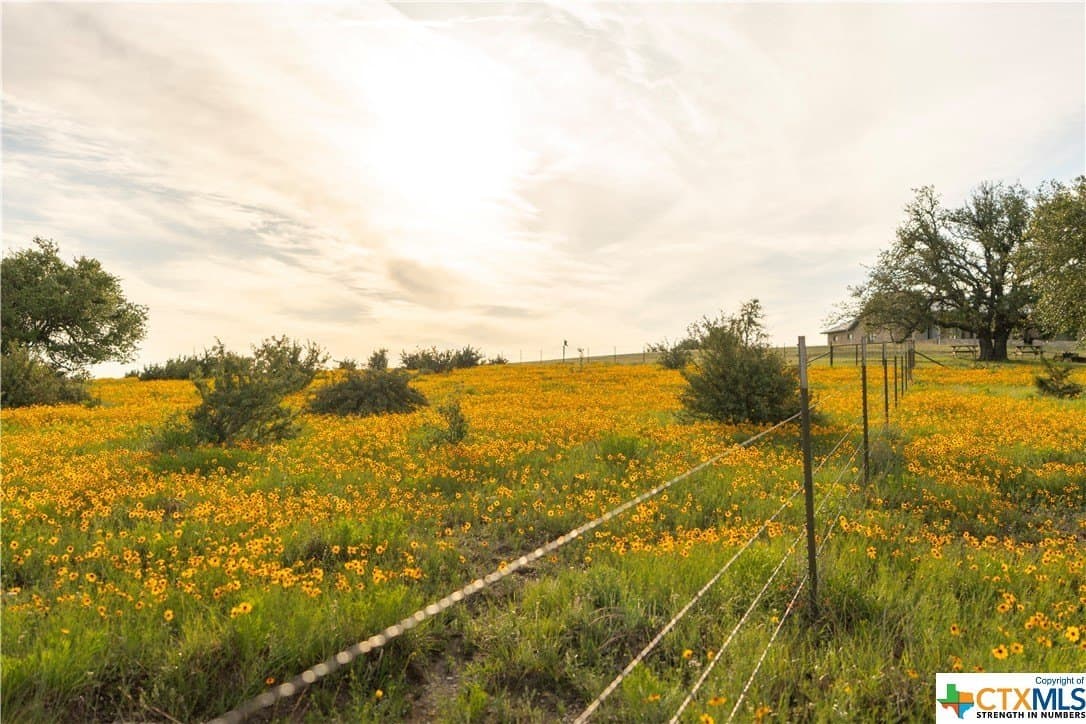 189.92 acres in Blanco County - photo 31