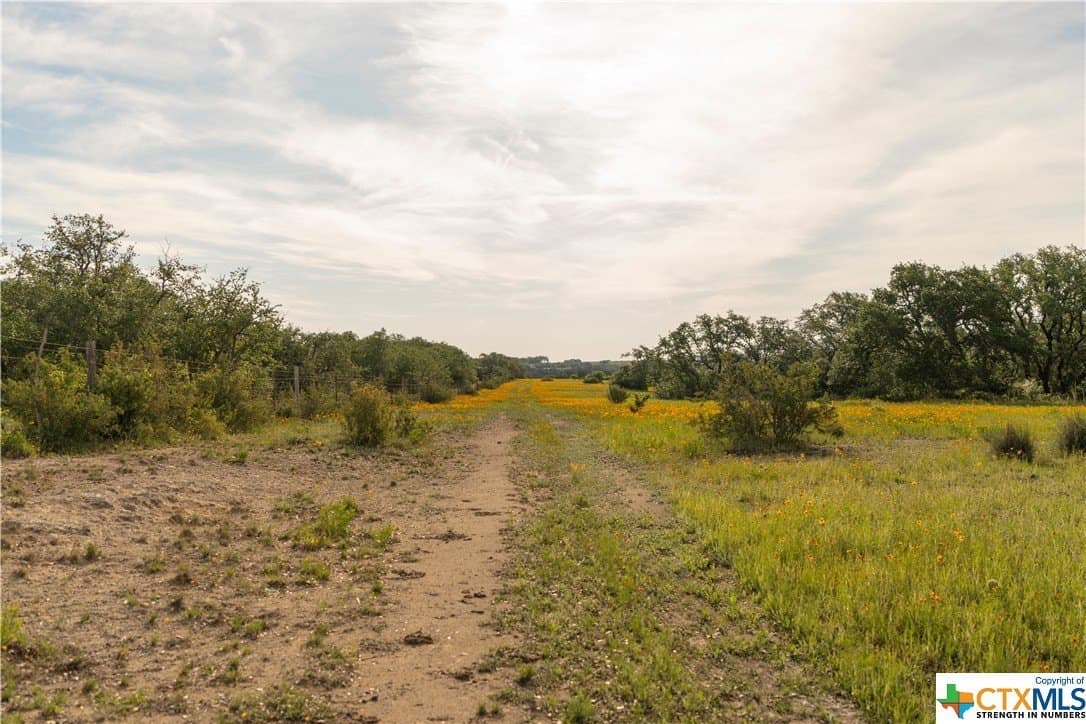 189.92 acres in Blanco County - photo 45