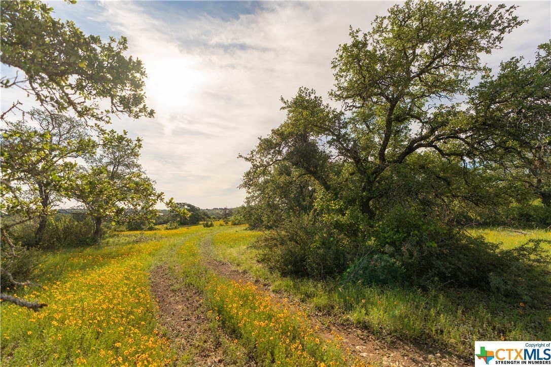 189.92 acres in Blanco County - photo 46