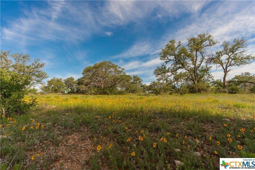 189.92 acres in Blanco County - photo 43