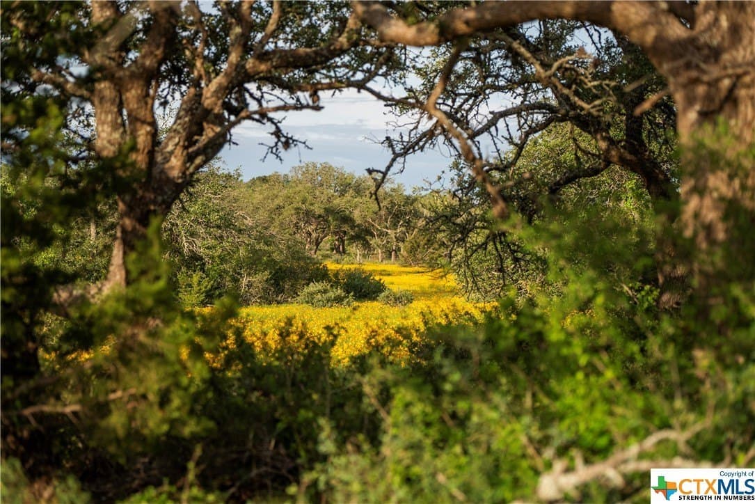 189.92 acres in Blanco County - photo 37