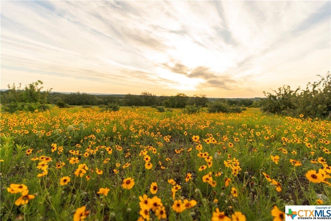 189.92 acres in Blanco County - photo 39