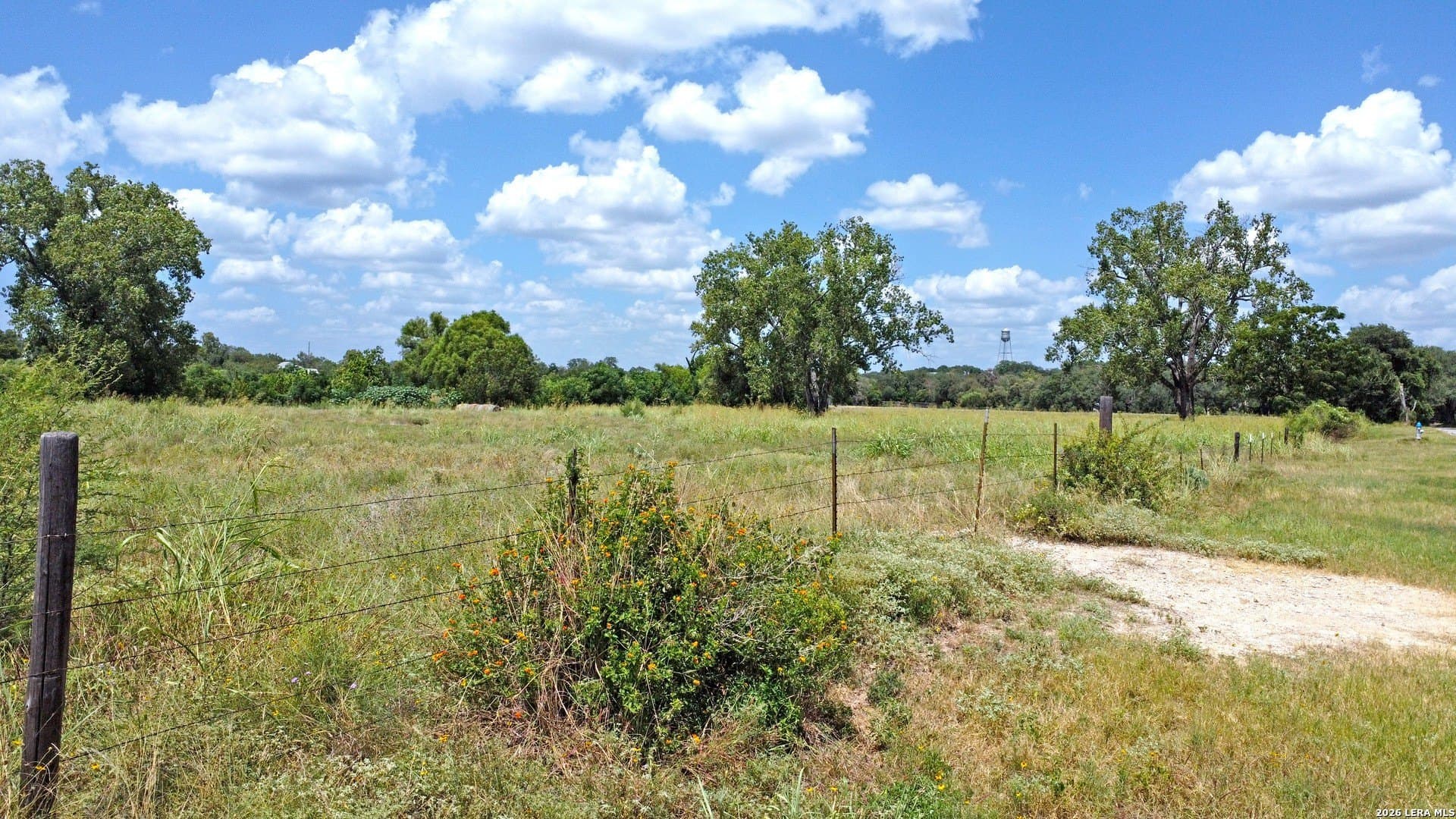 0.24 acres in Comal County - photo 14