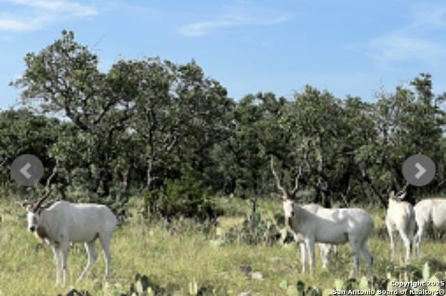 300.53 acres in Schleicher County