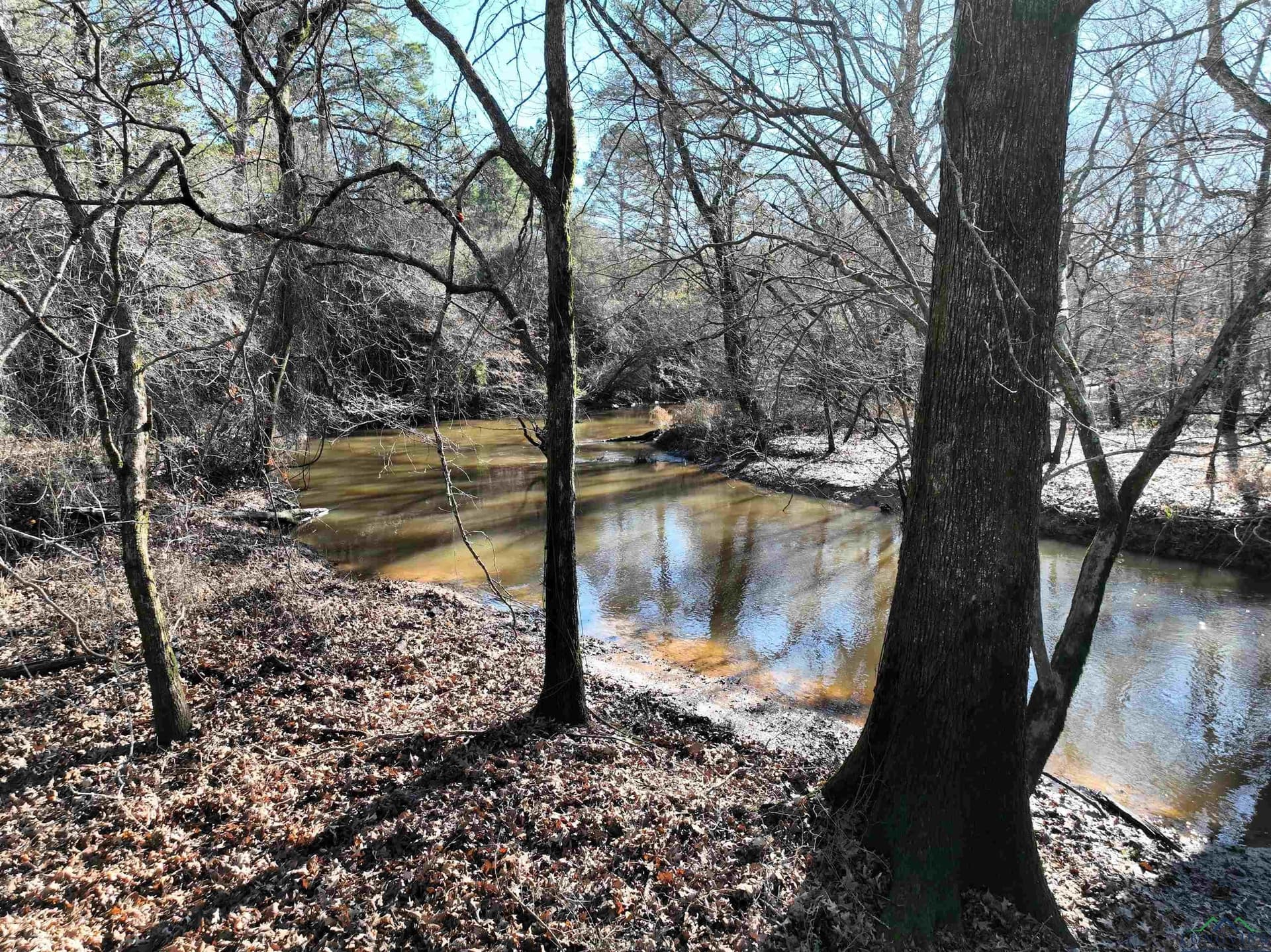 125.14 acres in Upshur County featured view