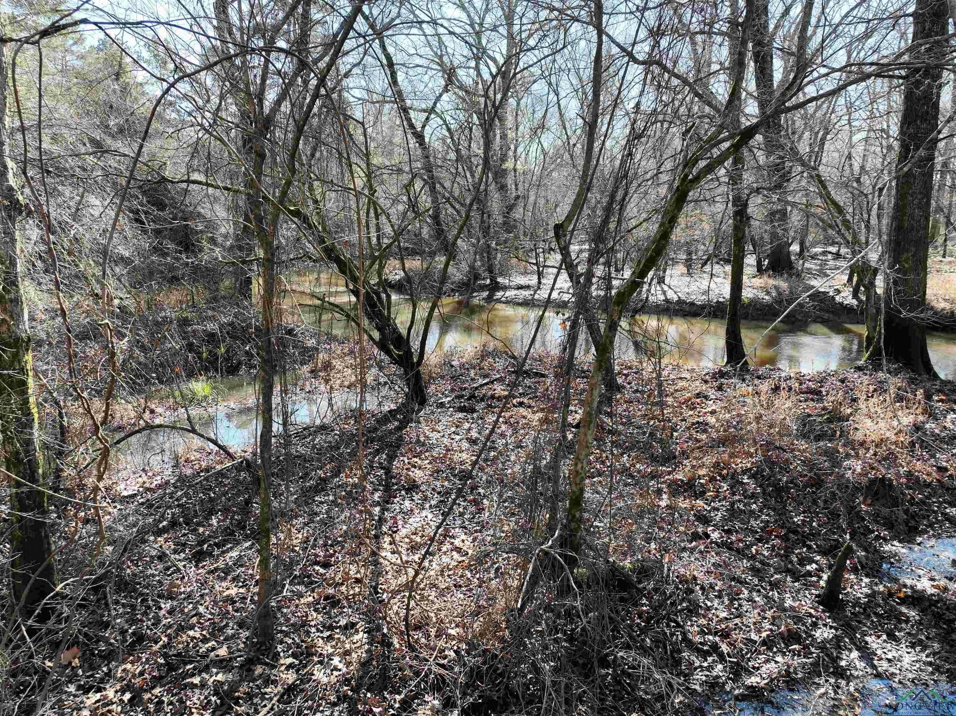 125.14 acres in Upshur County gallery image 4