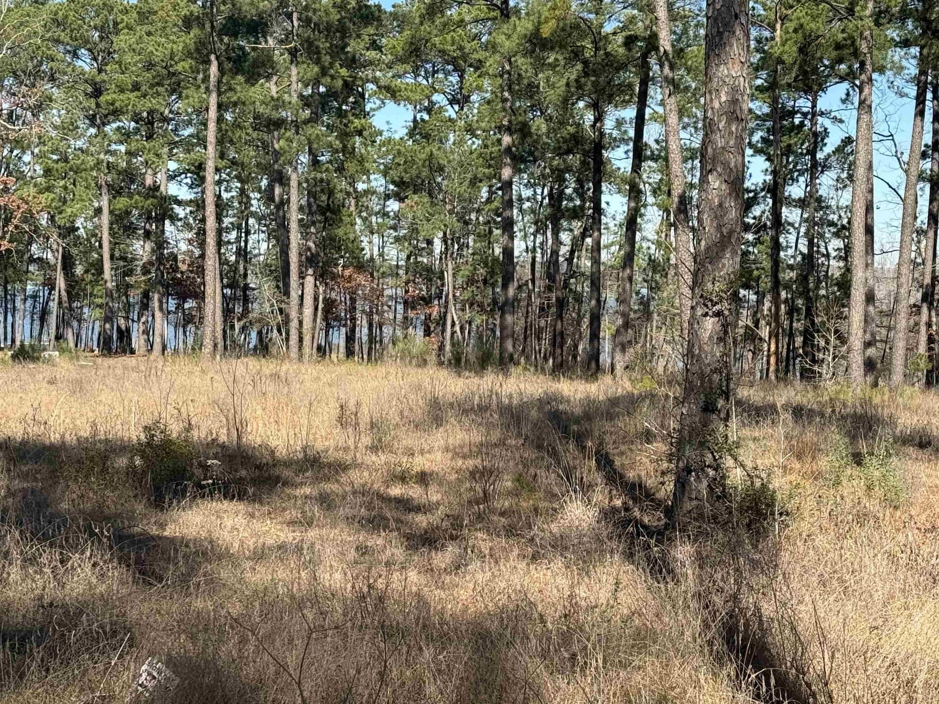 1 acres in Texas County gallery image 3