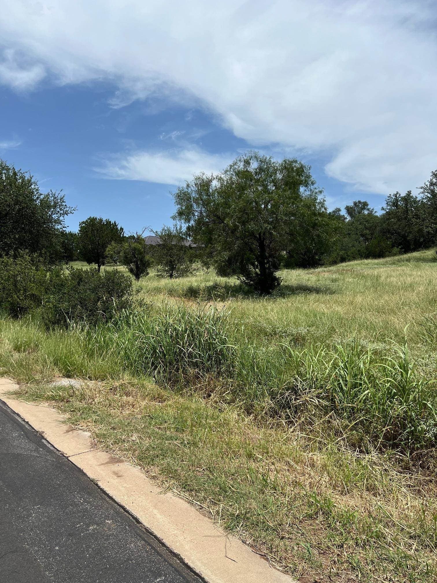 0.29 acres in Llano County gallery image 2