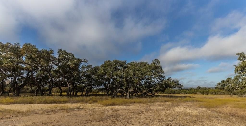 5 acres in Blanco County - photo 26