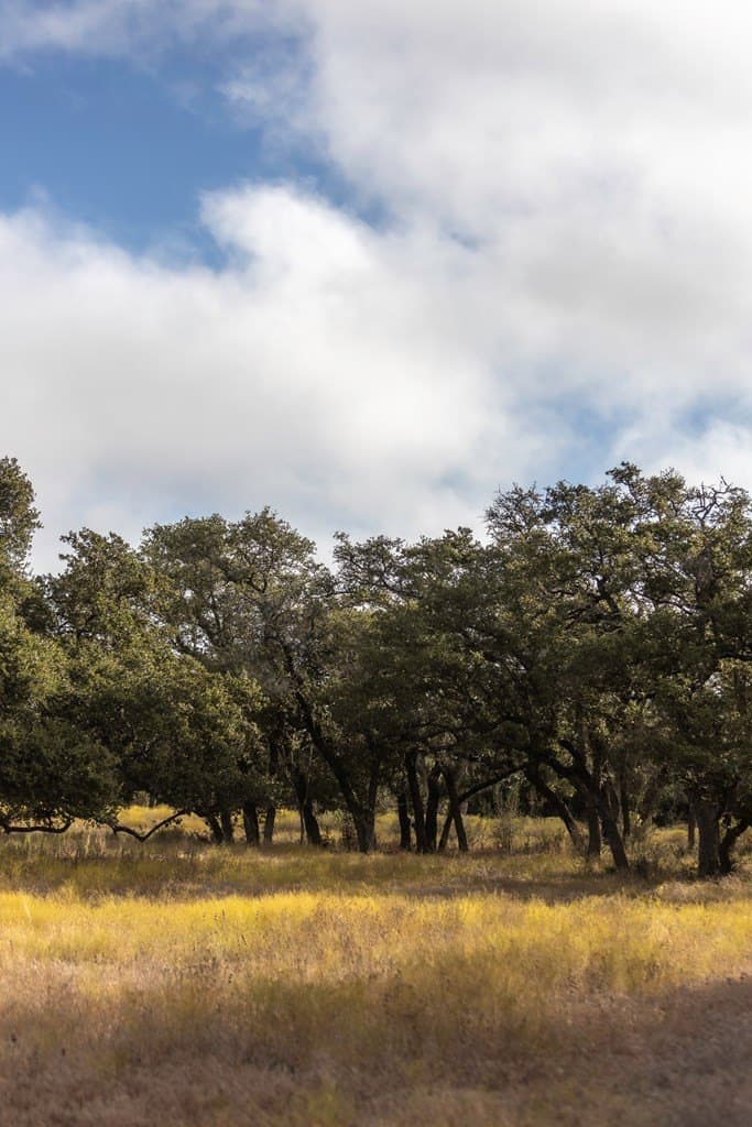 5 acres in Blanco County - photo 8