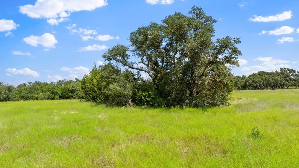 5 acres in Blanco County - photo 19