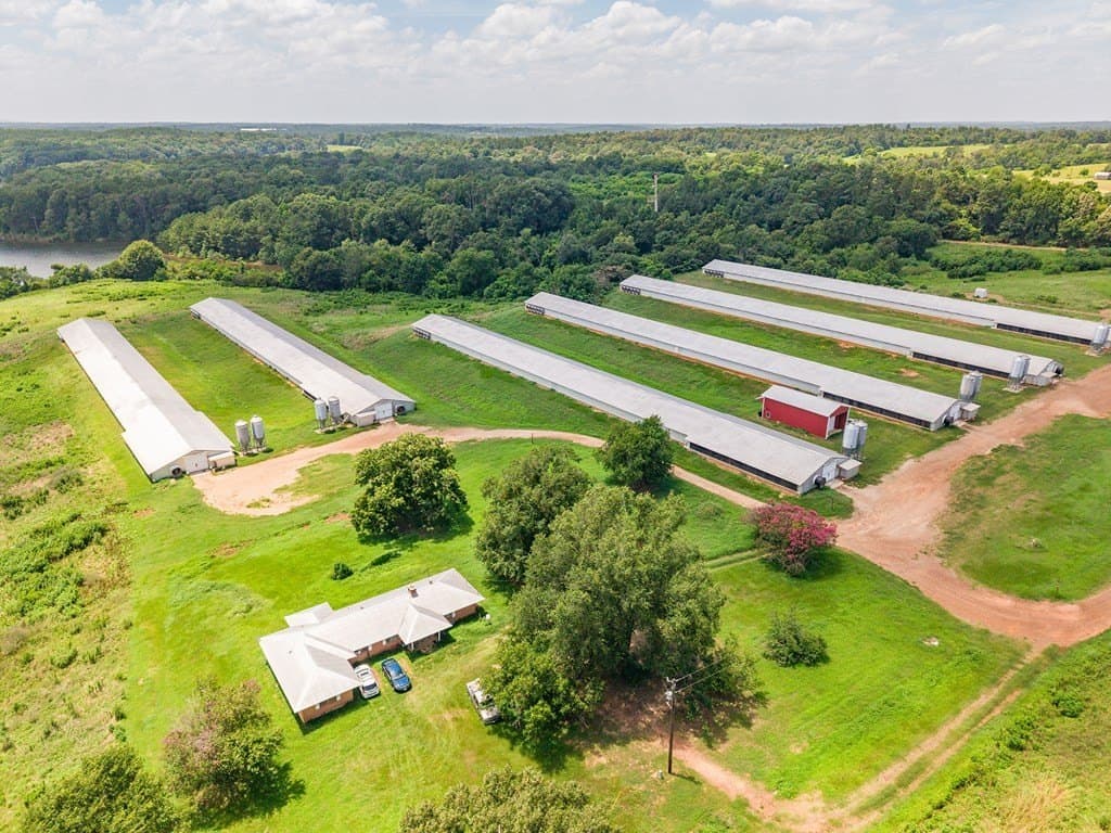 44 acres in Texas County - photo 13