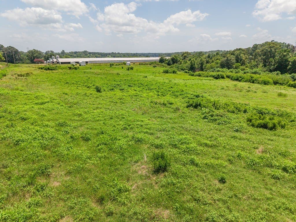 44 acres in Texas County - photo 8