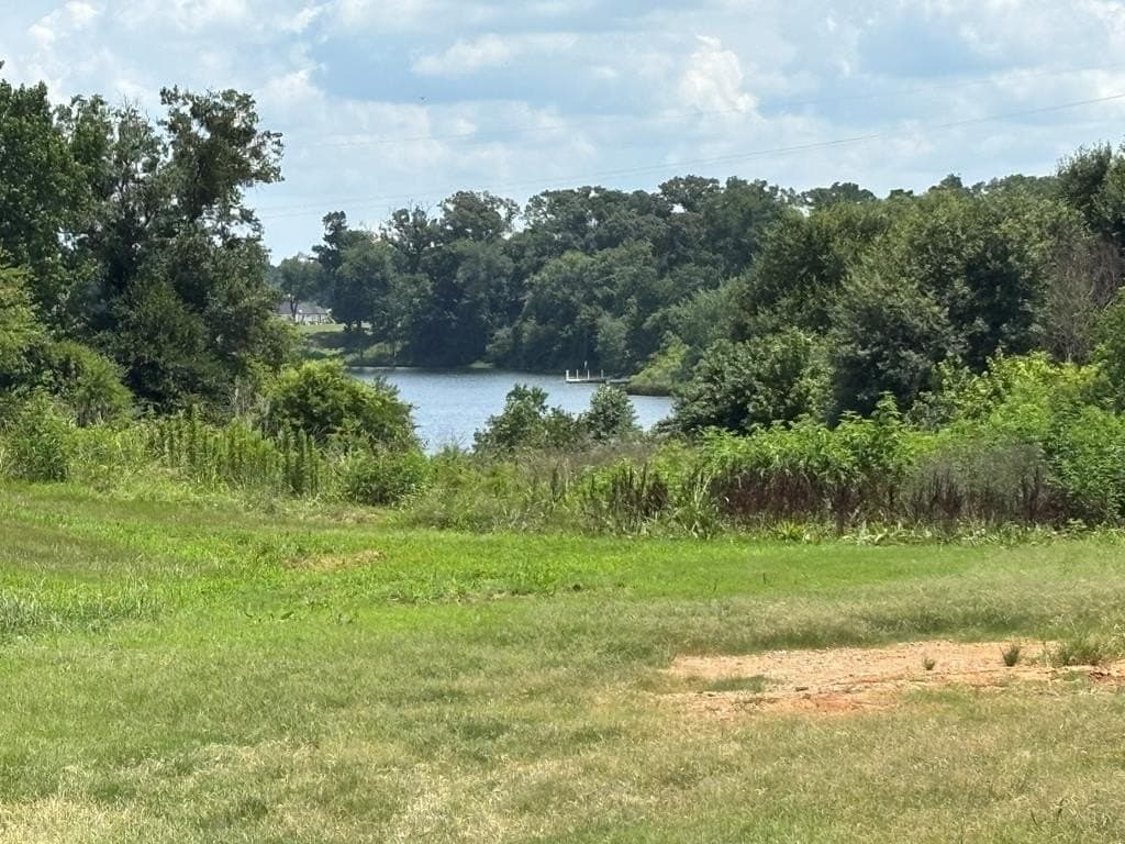 44 acres in Texas County - photo 24