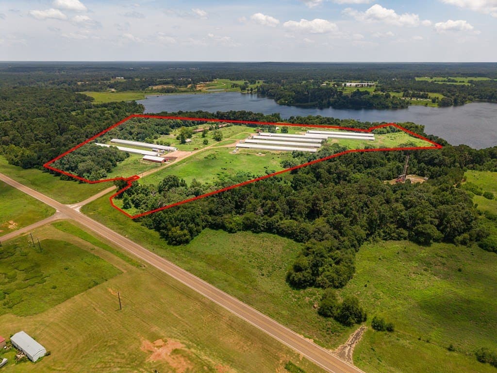 45 acres in Texas County gallery image 4