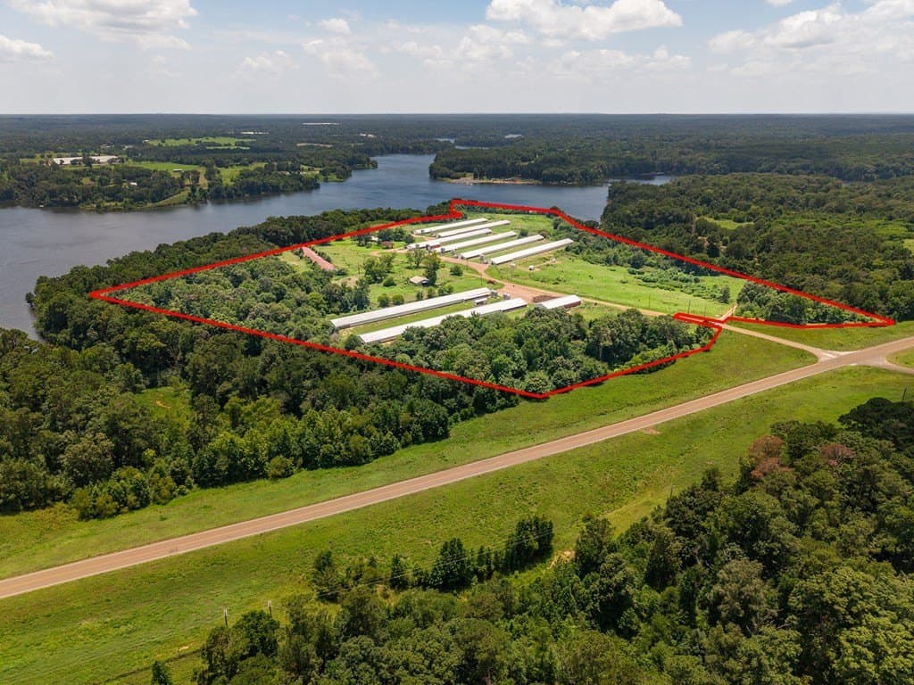 45 acres in Texas County gallery image 2