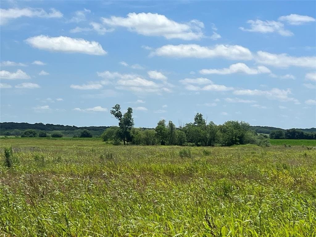 10.1 acres in Hill County gallery image 3