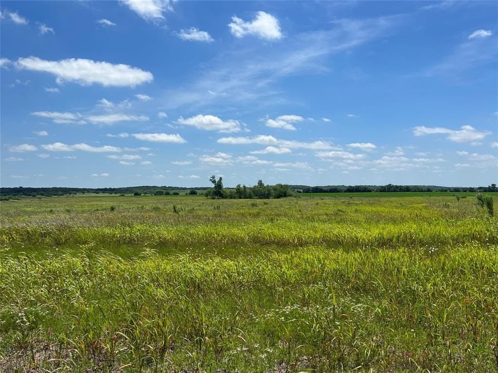 10.1 acres in Hill County gallery image 2