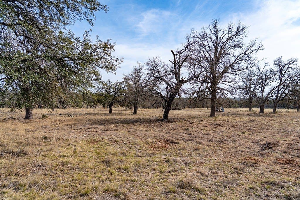 80 acres in Gillespie County - photo 39