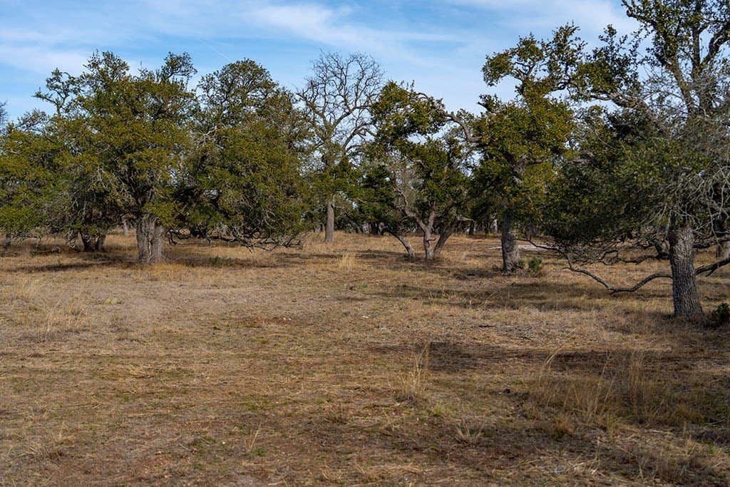 80 acres in Gillespie County - photo 35