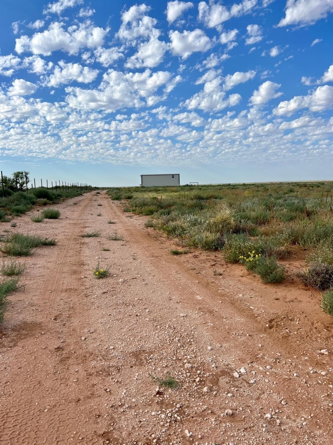 4.48 acres in Yoakum County featured view