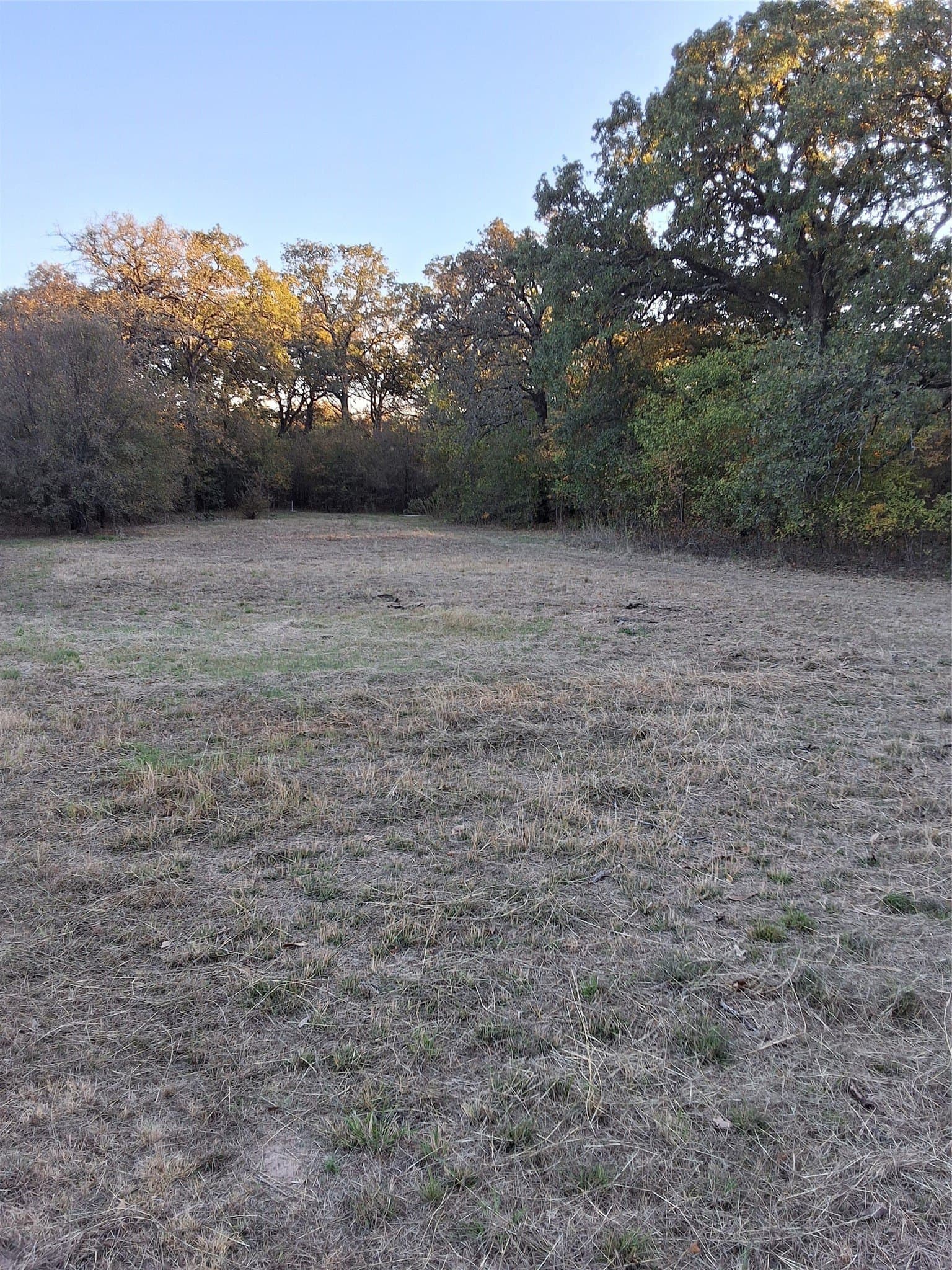 4.56 acres in McLennan County - photo 6