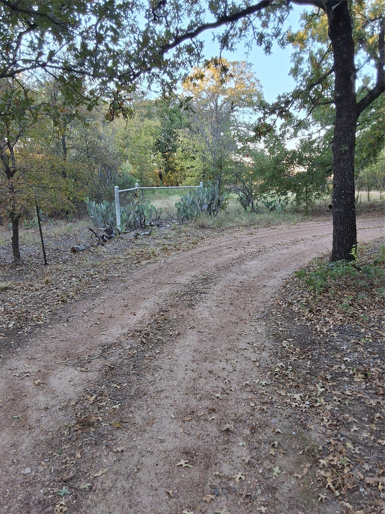 4.56 acres in McLennan County - photo 10