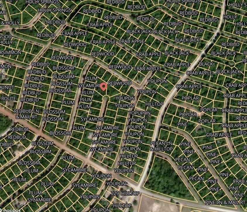 0.43 acres in Leon County gallery image 2