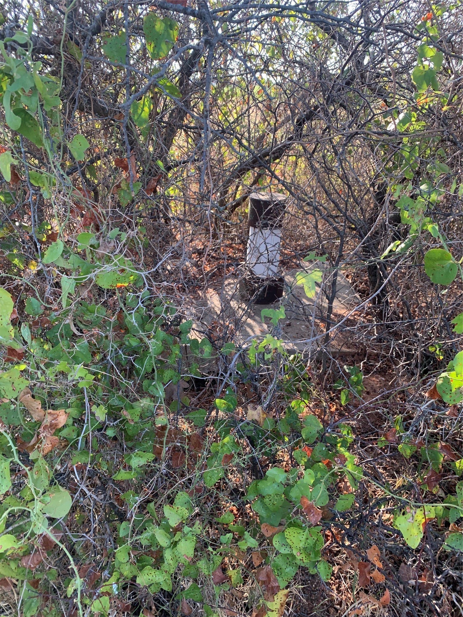 0.03 acres in Comanche County - photo 6