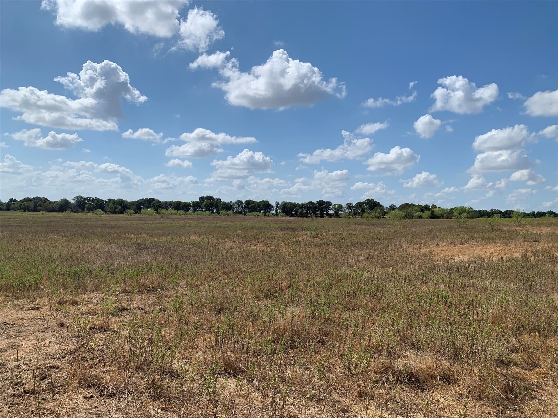 0.03 acres in Comanche County - photo 3