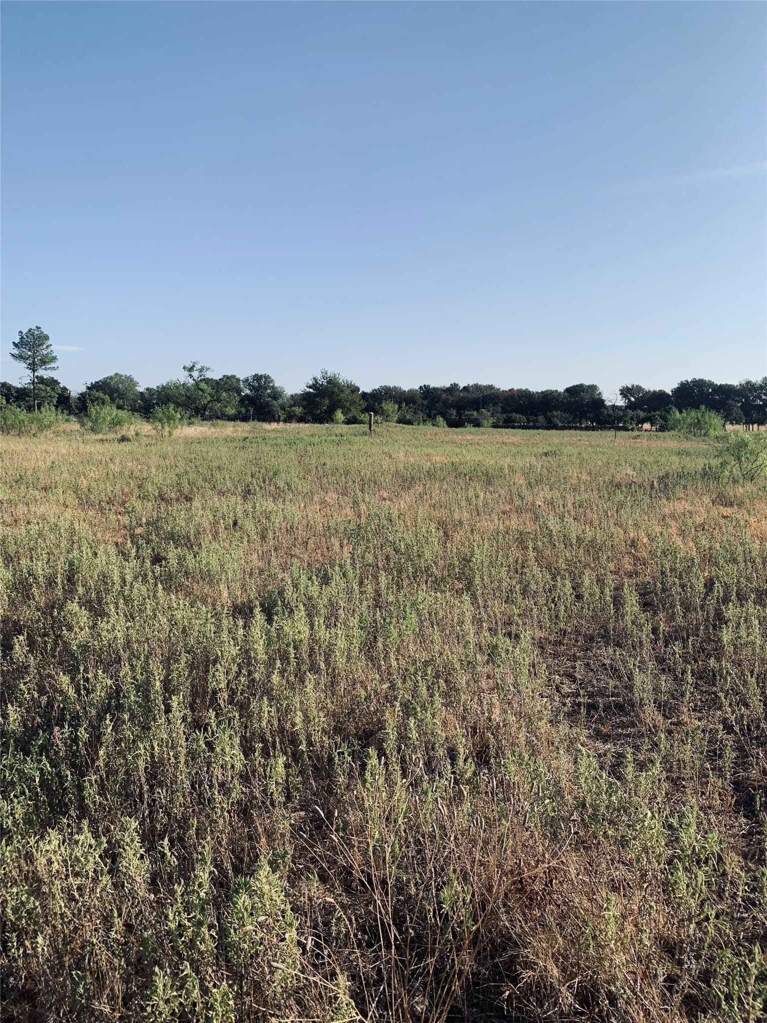0.03 acres in Comanche County - photo 5