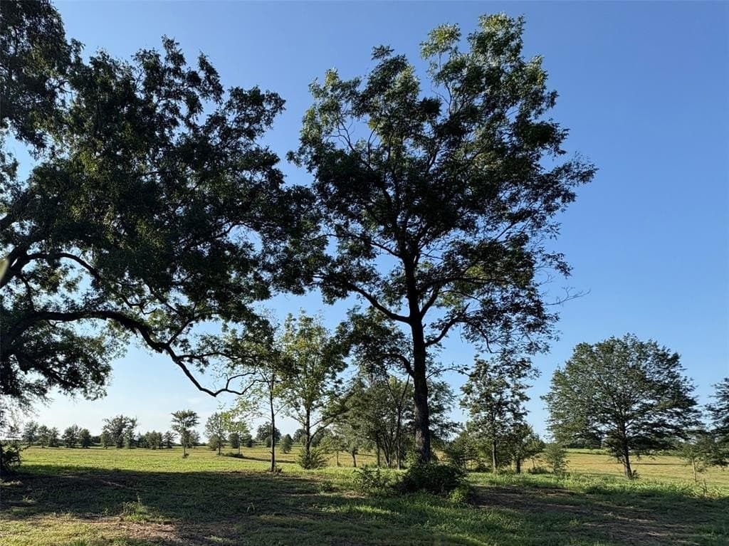 11.75 acres in Hopkins County gallery image 2