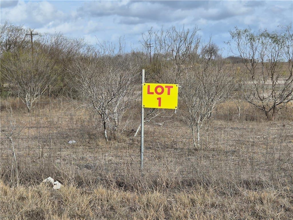 2.5 acres in Kleberg County gallery image 2