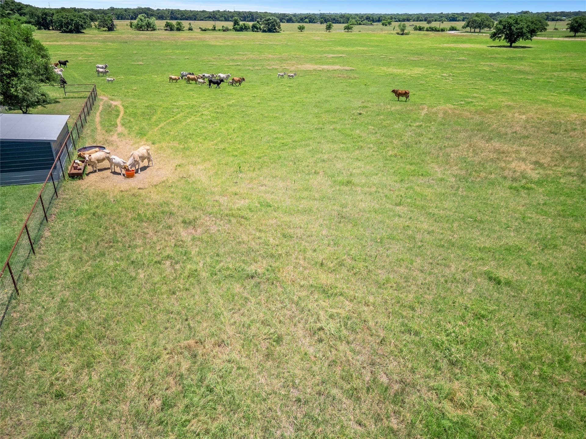 70 acres in Wise County - photo 10