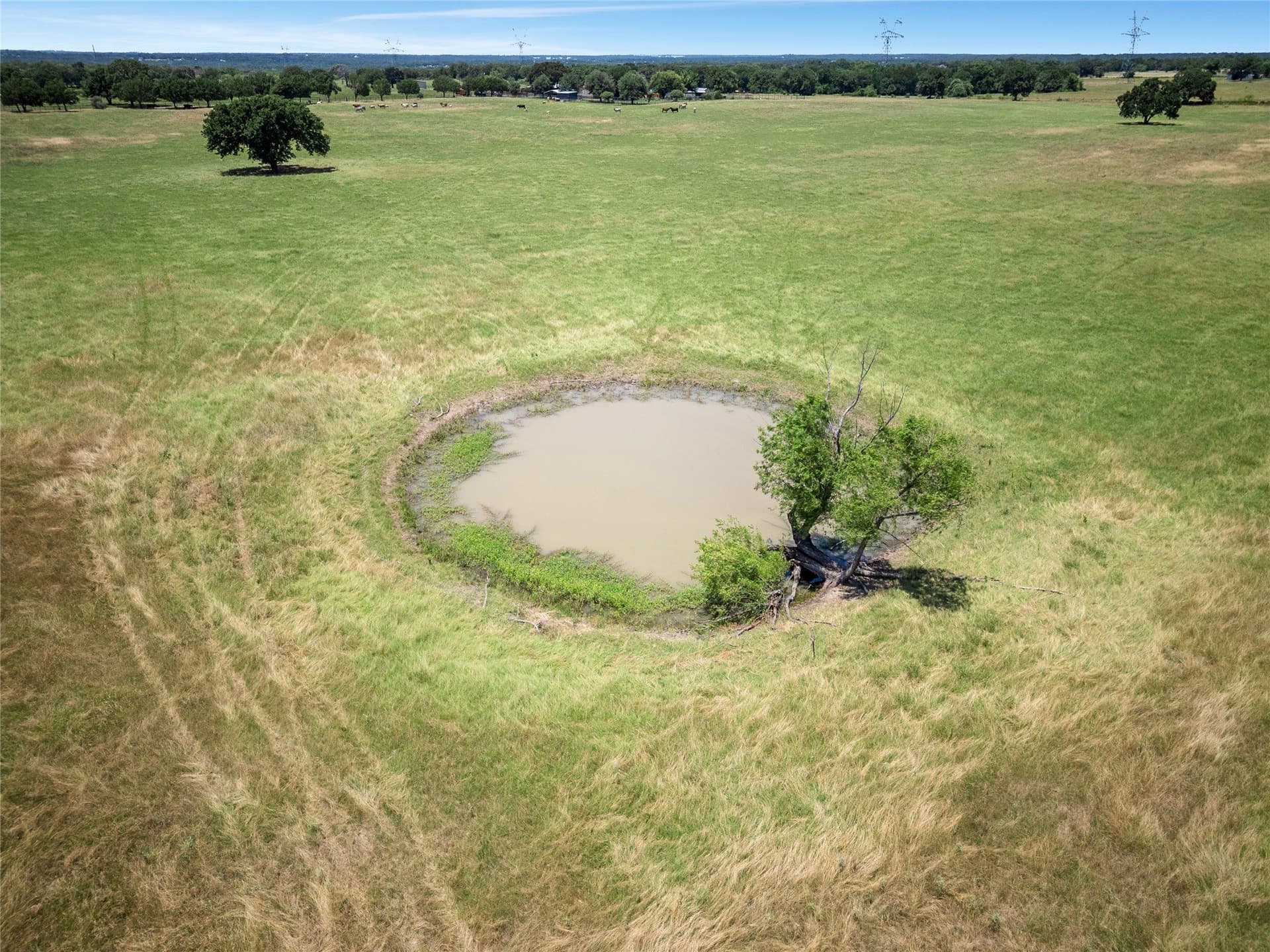 70 acres in Wise County - photo 11