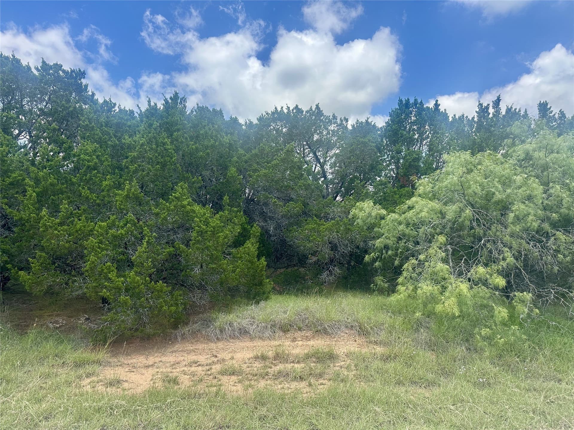 0.24 acres in Hill County - photo 2