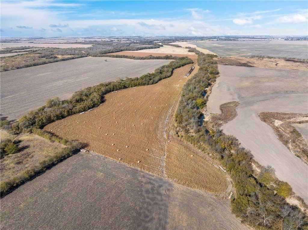 175.61 acres in Milam County - photo 7