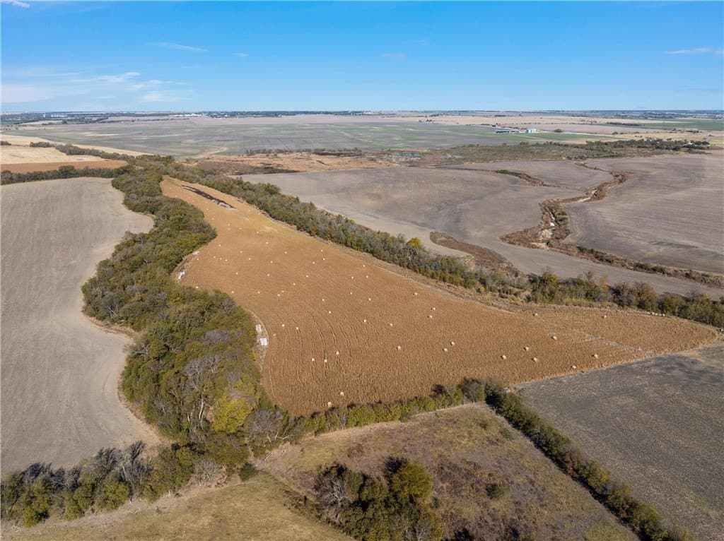 175.61 acres in Milam County - photo 4