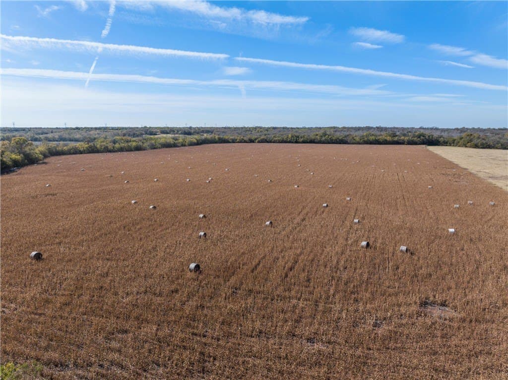 175.61 acres in Milam County - photo 8
